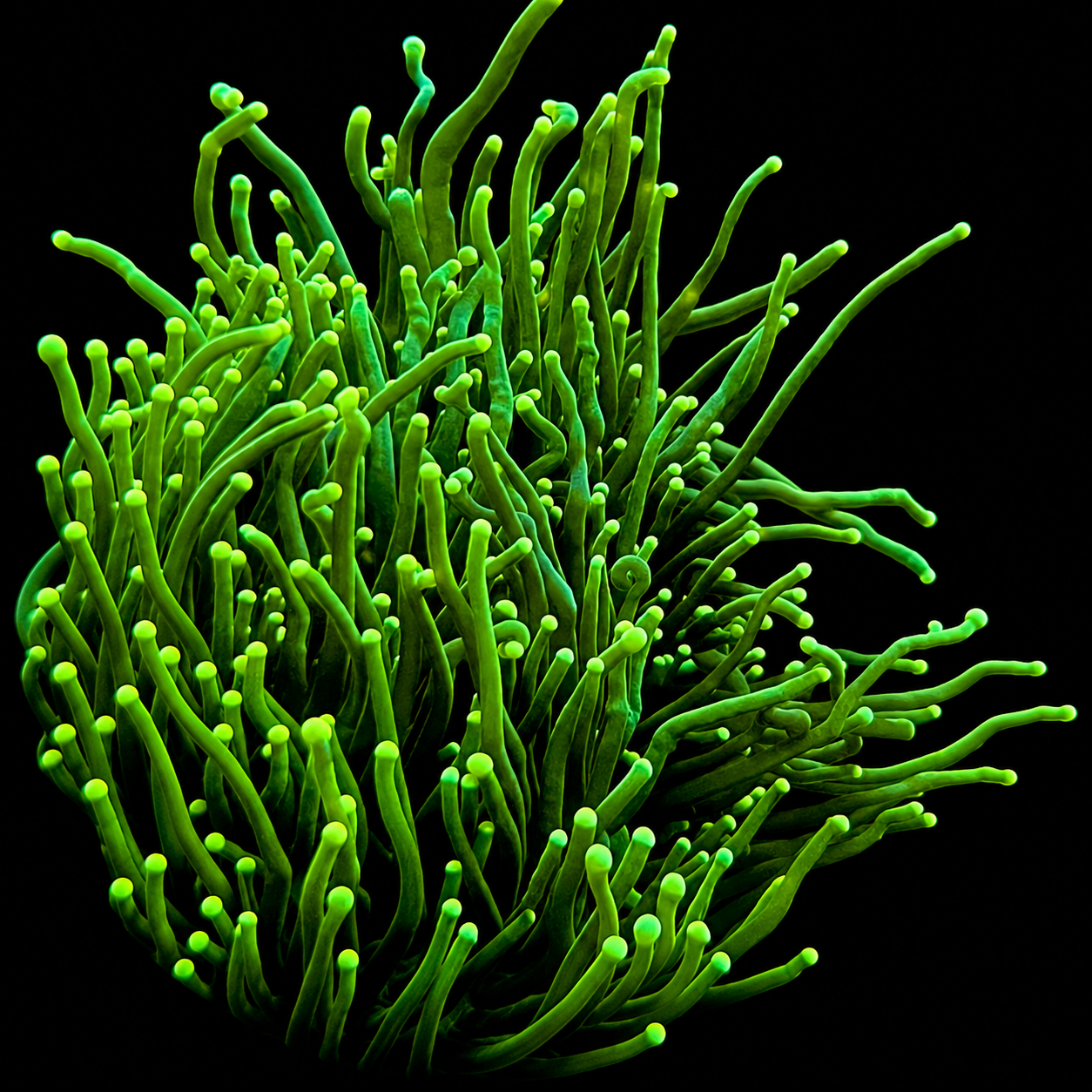 Hiker Ocean Coral Sea Salt 6.7kg - profesjonalna sól do akwarium morskiego EAN (GTIN) 5907894010090