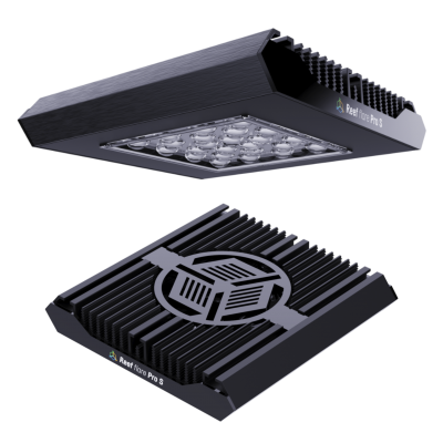 Lampa LED Reef Flare BLUE S Black / White