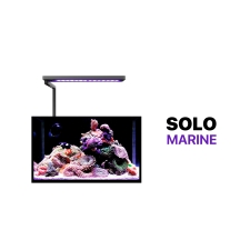 Lampa do akwarium morskiego / nano rafy MicMol Solo Marine