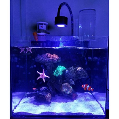 Lampa LED do akwarium morskiego Asta 20
