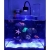 Lampa LED do akwarium morskiego Asta 20