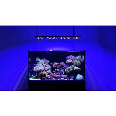 Lampa do akwarium morskiego MicMol AquaMax 900