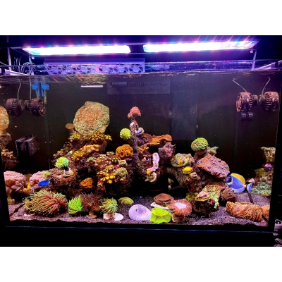 Lampa LED do akwarium morskiego Air PRO 900 Marine + kontroller