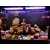 Lampa LED do akwarium morskiego Air PRO 900 Marine + kontroller