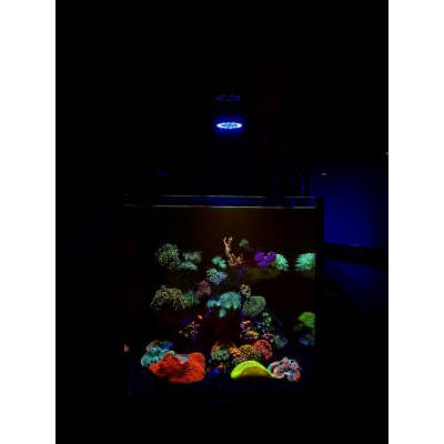 Lampa LED do akwarium morskiego THOR Marine 63W + Kontroler