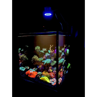 Lampa LED do akwarium morskiego THOR Marine 63W + Kontroler
