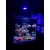 Lampa LED do akwarium morskiego THOR Marine 63W + Kontroler