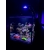 Lampa LED do akwarium morskiego THOR Marine 63W + Kontroler