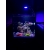Lampa LED do akwarium morskiego THOR Marine 63W + Kontroler