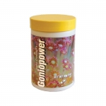 Goniopower - 30 g pokarm dla goniopor i alveopor
