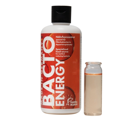 Fauna Marin Bacto Energy 250ml - pożywka dla bakterii